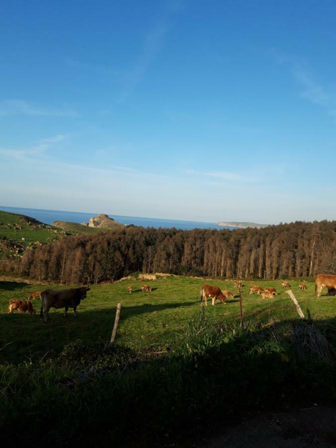 La Torruca Villa Orena Bagian luar foto